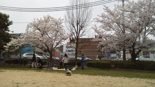 2016040513490004.jpg